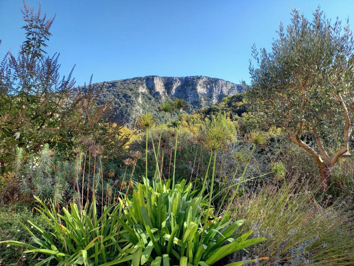 Gite En Cevennes Du Sud, Bergerie Restauree Au Rez De Jardin D'Une Bastide Avec Piscine, Vue Exceptionnelle, Authenticite Et Confort Saint-Laurent-le-Minier Buitenkant foto