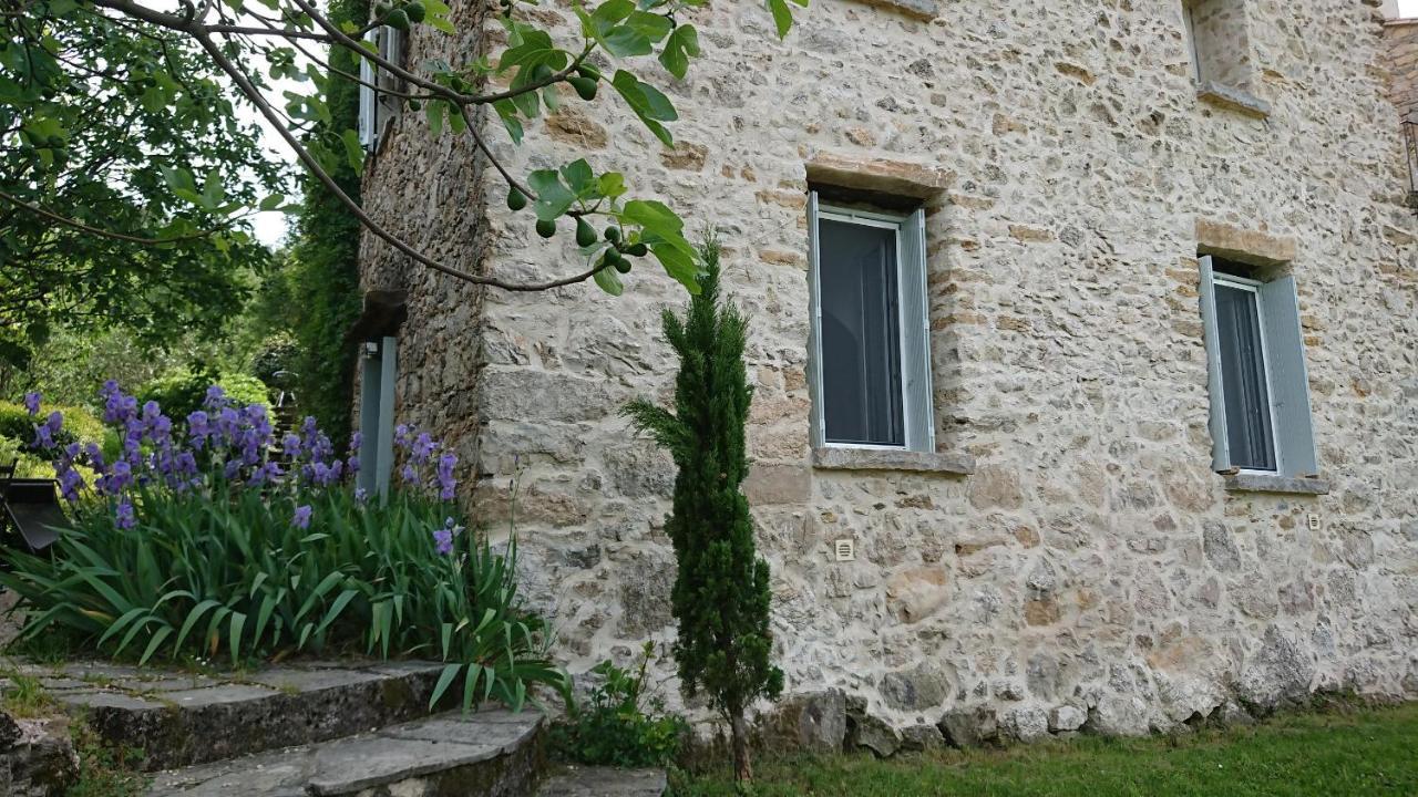 Gite En Cevennes Du Sud, Bergerie Restauree Au Rez De Jardin D'Une Bastide Avec Piscine, Vue Exceptionnelle, Authenticite Et Confort Saint-Laurent-le-Minier Buitenkant foto