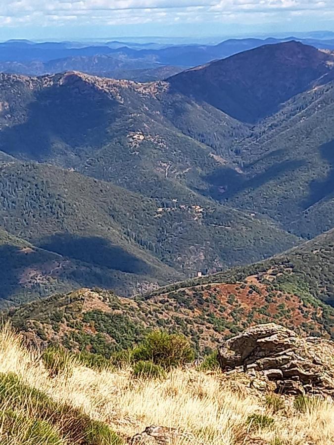 Gite En Cevennes Du Sud, Bergerie Restauree Au Rez De Jardin D'Une Bastide Avec Piscine, Vue Exceptionnelle, Authenticite Et Confort Saint-Laurent-le-Minier Buitenkant foto